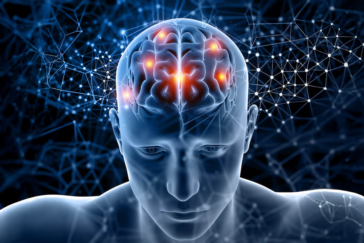 Il cervello: dalla postura agli aspetti neurologici